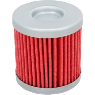 Oil Filter Can Am Ds450