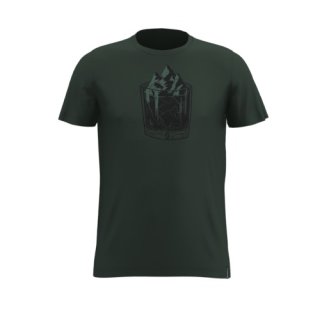Scott T-Shirt Ms 20 Casual dye S-SL - smoked green