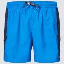Oakley Cargo Rc 18" Beach Shorts