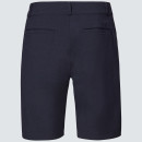 Oakley B1B Hybrd Shorts