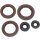Moose Racing OIL SEAL SET MSE CAN AM 822362