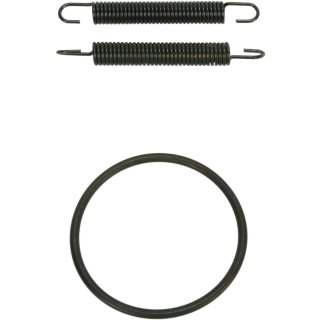 Fmf Spring/Oring Kit Yz250 011317